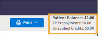 Patient Balance, TP Prepayments and Unapplied Credits financial section with yellow highlight box around it. 